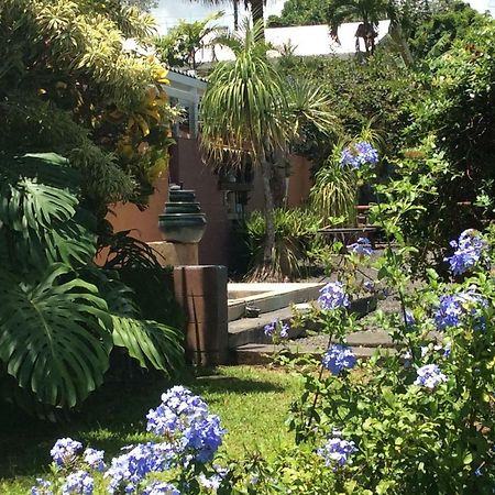 Mediteranean style Ohana Rental / Garden Bungalow in Pahoa Honolulu Landing Bagian luar foto